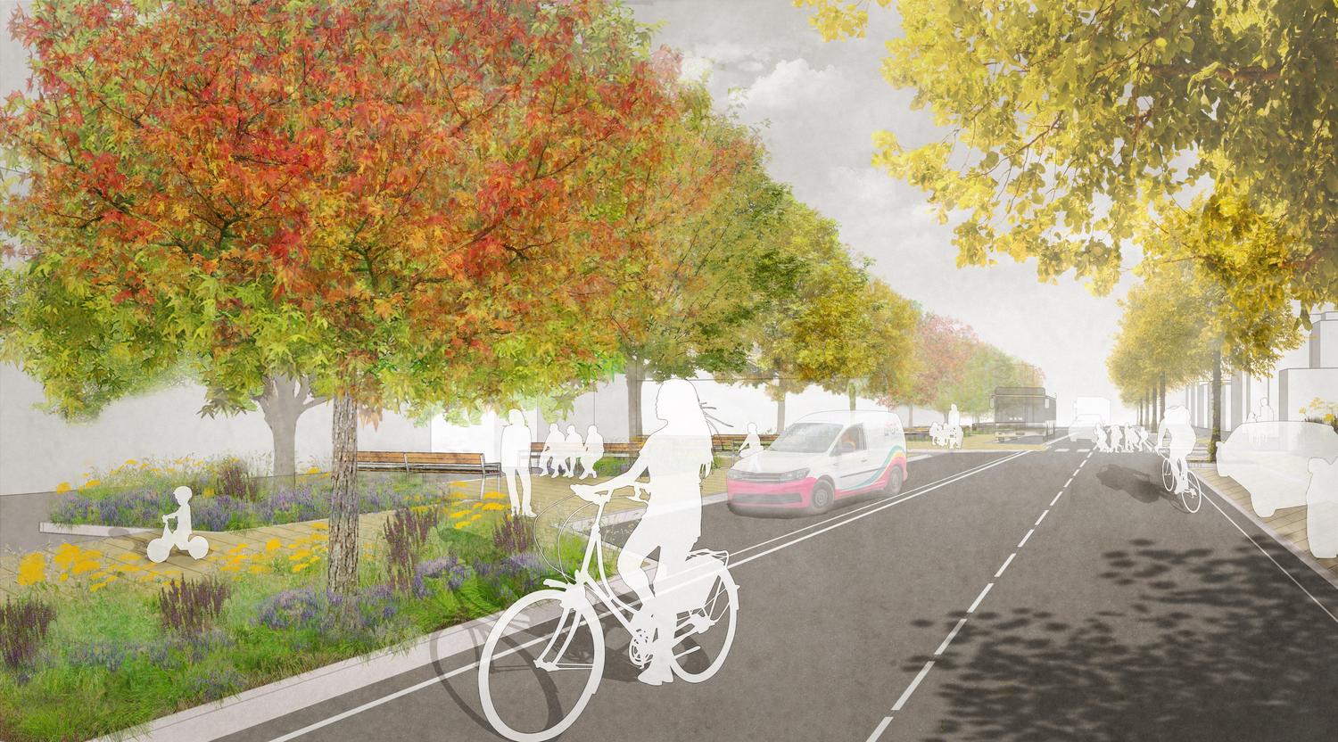 Die Straße ist auf beiden Seiten gesäumt von Bäumen, unter denen auch einige Bänke stehen. Auf der Straße sind Fahrräder, Autos und Busse zu sehen.